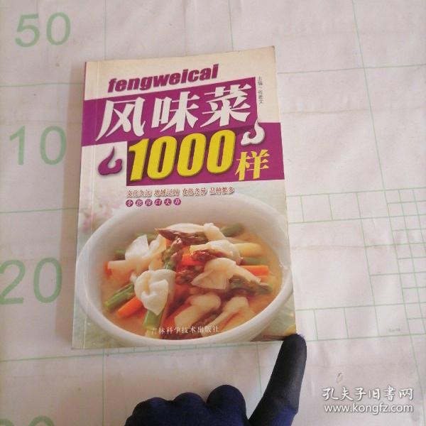 风味菜100样