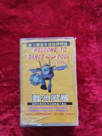 磁带：舞池风暴 新力舞曲年度强悍精选