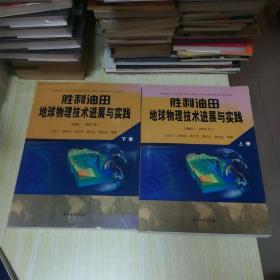 胜利油田地球物理技术进展与实践（2005-2011年）