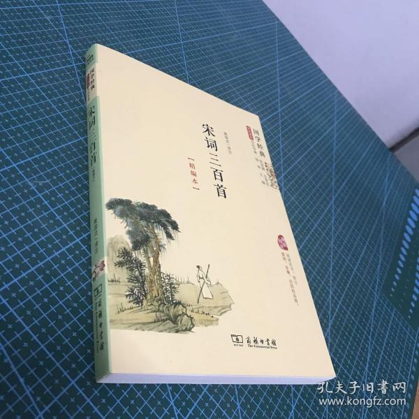 宋词三百首(精编本）国学经典学生读本 今注今译 朱永新及各地省级教育专家审定推荐