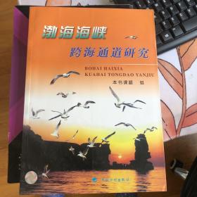 渤海海峡跨海通道研究:1992~2003