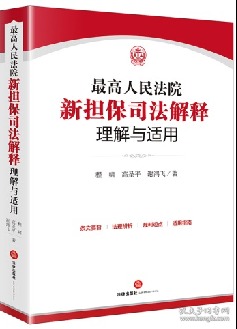 最高人民法院新担保司法解释理解与适用