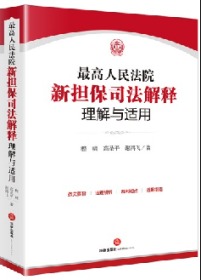 最高人民法院新担保司法解释理解与适用