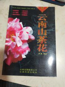 云南山茶花