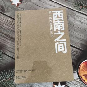 西南之间：第一届西南建筑论坛