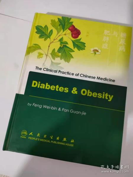 中医临床实用系列：糖尿病与肥胖症（英文）