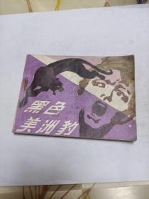 黑色美洲豹连环画