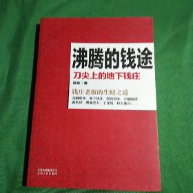 沸腾的钱途——刀尖上的地下钱庄