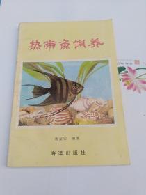 热带鱼饲养