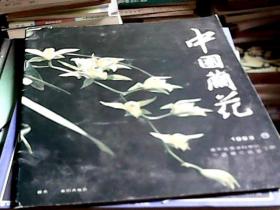 中国兰花 1993.6