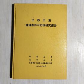 王港建港条件可行性研究报告