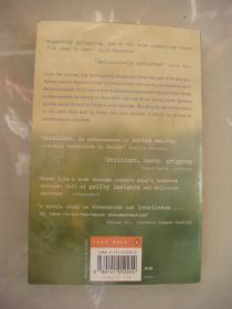 Notes on a Scandal (the MAN BOOKER PRIZE 2003)  <丑闻笔记>英文原版大32开