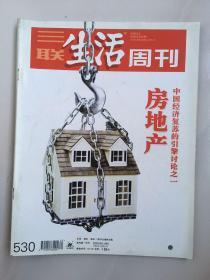 三联生活周刊 2009年6月 第20期 中国经济复苏的引擎讨论之一 房地产