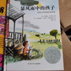 暴风雨中的孩子：美国凯迪克银奖作品精装绘本