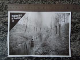 老照片 70年代 博爱县丹东灌区第四泉组河