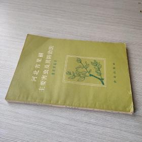 河北省果树主要害虫及其防治法