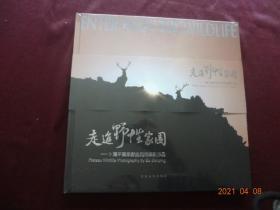 走进野性家园 卜建平高原野生动物摄影作品(没拆封)
