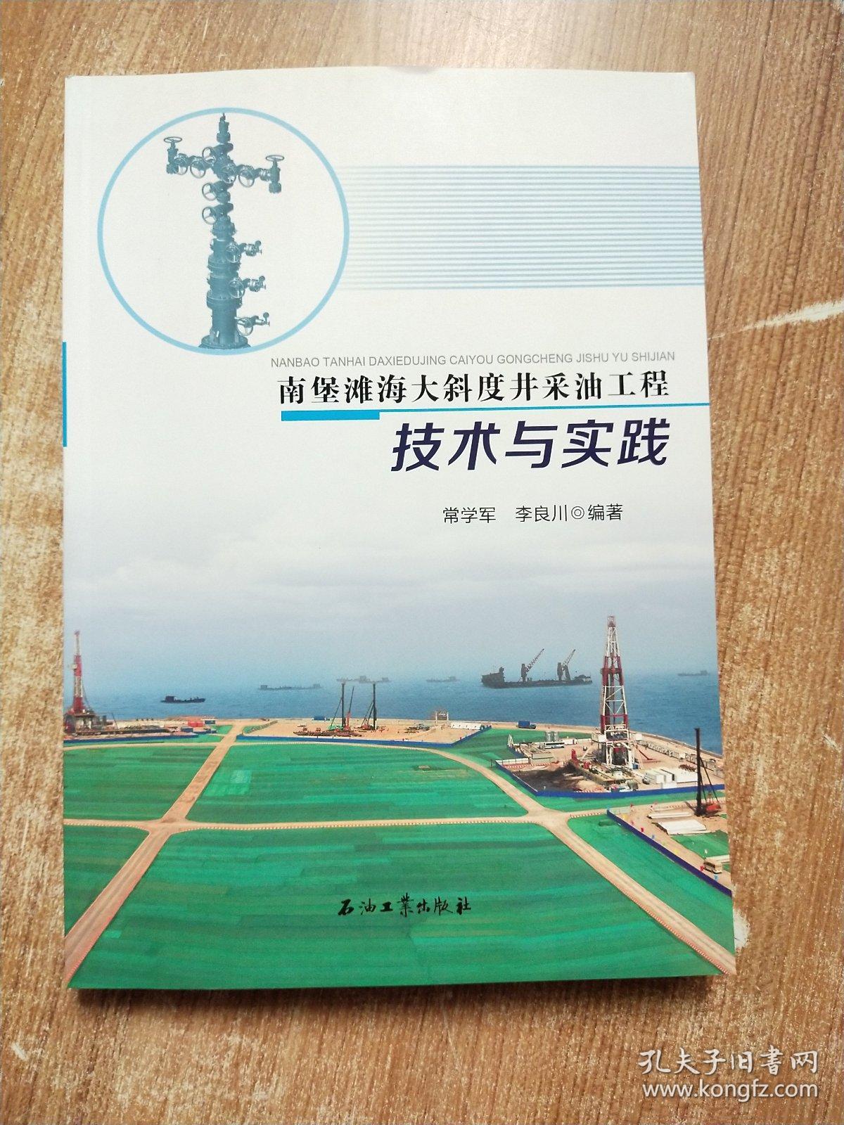 南堡滩海大斜度井采油工程技术与实践