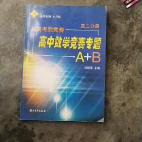 高中数学竞赛专题A+B（高2分册）