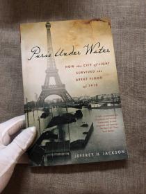Paris Under Water: How the City of Light Survived the Great Flood of 1910 一九一零年水灾差点摧毁巴黎，绝境迫使有着种种宗教冲突、文化差异的巴黎人联合起来，最终拯救了这座城市，也为四年后更可怕的一战做了动员准备【英文版】