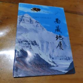 西藏地质1991年第2期总第6期（16开）