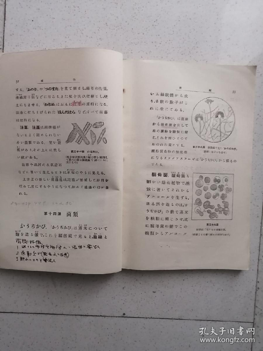 輓近理科教科书日本