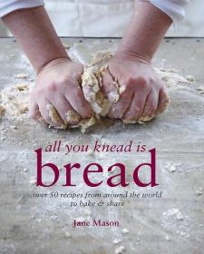 All You Knead Is Bread 世界50款面包烘焙技法