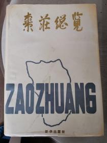 枣庄总览（16开精装本 油漆布面有护封 枣庄市5区1市85个乡镇、5个街道办事处、3257个村（居），都有分条目
