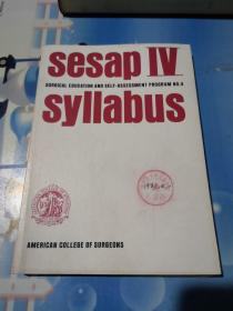 sesap IV syllabus