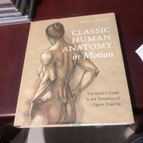 经典的人体运动解剖学 Classic Human Anatomy in Motion