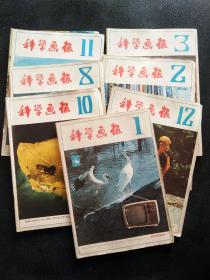 科学画报 1982年（第 11 期）