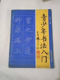 字帖《青少年书法入门》16开，详情见图！西7--5（12）