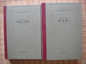 【毛边 网格本】叶甫盖尼·奥涅金 怎么办？ 2种2册合售（精装 人民文学出版社 外国文学名著丛