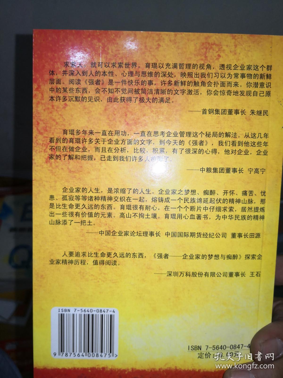 强者：一个企业家的梦想与痴醉