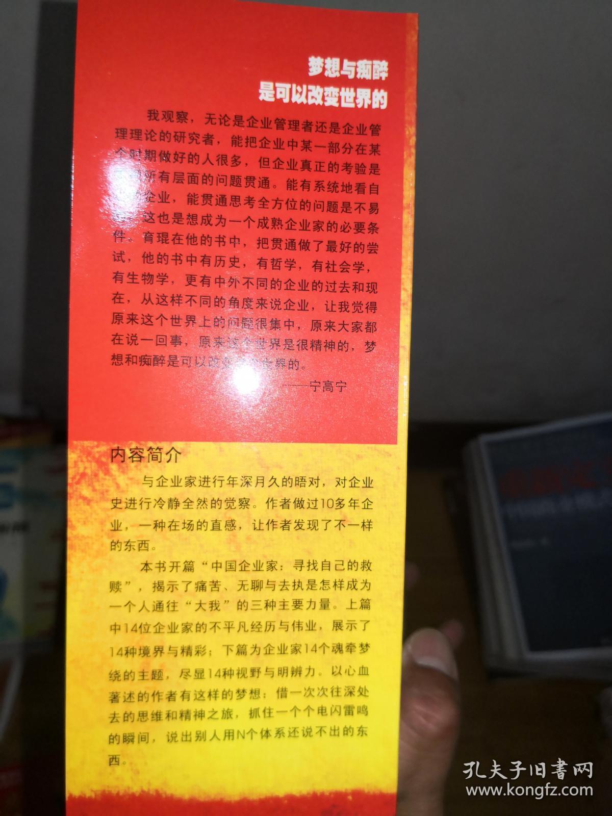 强者：一个企业家的梦想与痴醉