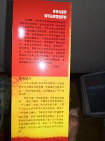 强者:一个企业家的梦想与痴醉