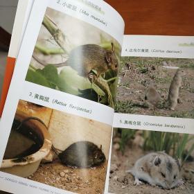 中国农区鼠害发生与防控图谱