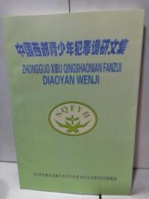 中國西部青少年犯罪調(diào)研文集