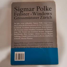 Sigmar Polke Fester-Windows Gross Munster Zurich