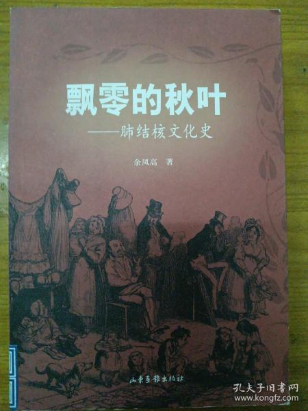 飘零的秋叶：肺结核文化史——疾病与文化丛书