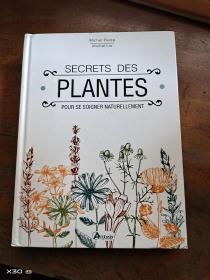 PLANTES