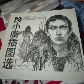 段小鹰插图选