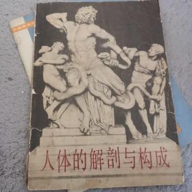 人体的解剖和构成