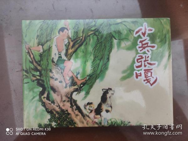 小兵张嘎
