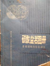 碳酸盐岩图册：显微结构与化石碎片【右下角有一点破损，内页完整】