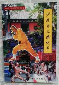 少林寺三路炮拳（平）