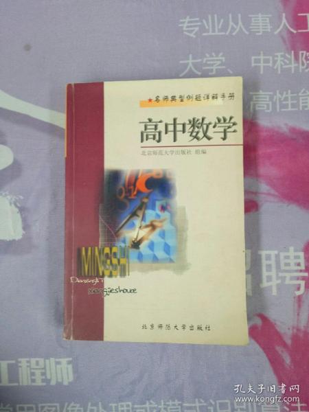 名师典型例题详解手册.高中数学