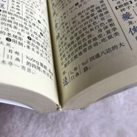 新编学生字典（双色本）