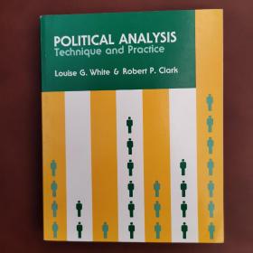 political analysis政治学分析：技艺与实践