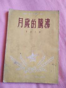 沸腾的岁月